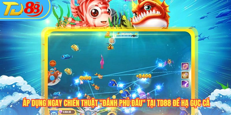 Áp dụng ngay chiến thuật "Đánh phủ đầu" tại TD88 để hạ gục cá