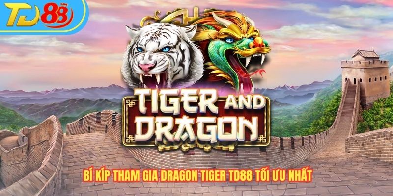 Bí kíp tham gia Dragon Tiger TD88 tối ưu nhất