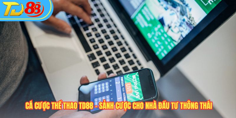 Cá Cược Thể Thao TD88 – Sảnh Cược Cho Nhà Đầu Tư Thông Thái