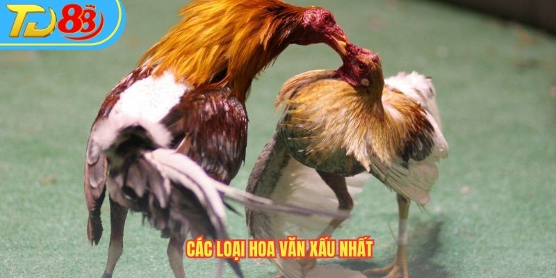 Các loại hoa văn xấu nhất