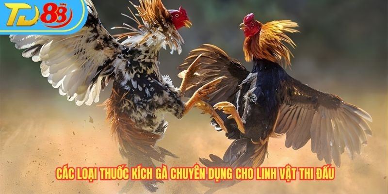 Các loại thuốc kích gà chuyên dụng cho linh vật thi đấu