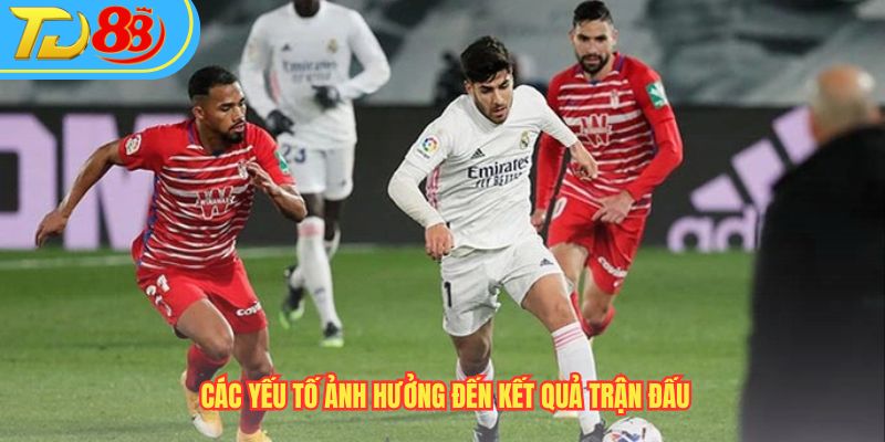 Kết quả trận đấu chịu tác động từ nhiều yếu tố