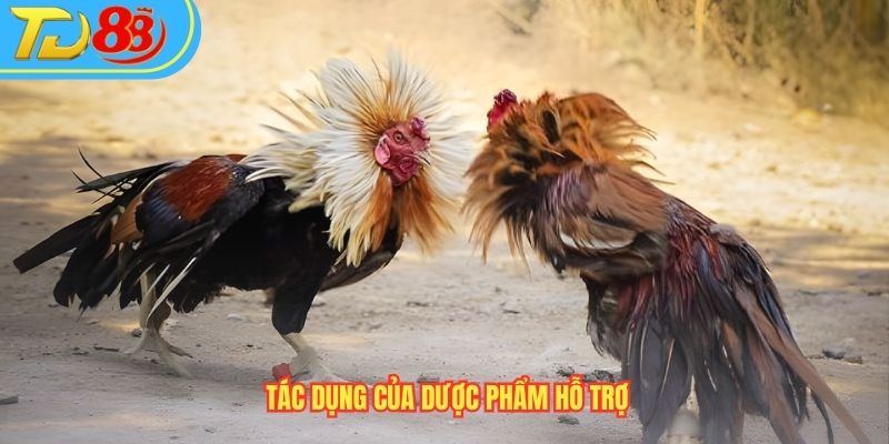 Tác dụng của dược phẩm hỗ trợ