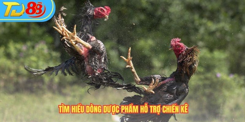 Tìm hiểu dòng dược phẩm hỗ trợ chiến kê